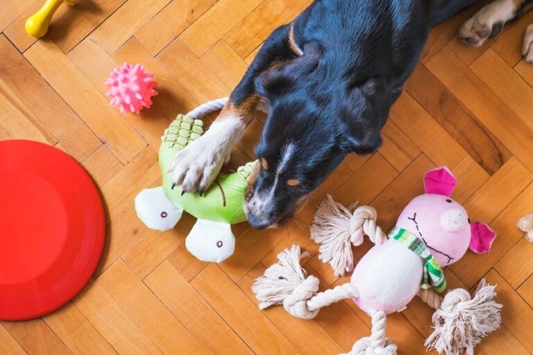 How to Source High-quality Pet Products from China?